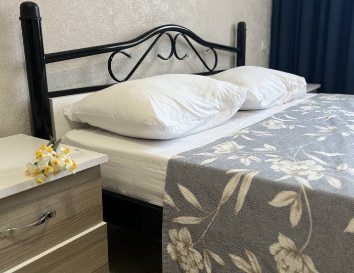 Номер стандарт эконом с 1 двуспальной и 1 двухъярусной кроватью - Отель Feniks / Феникс Цандрыпш